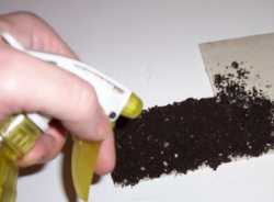 spray the glue right on top