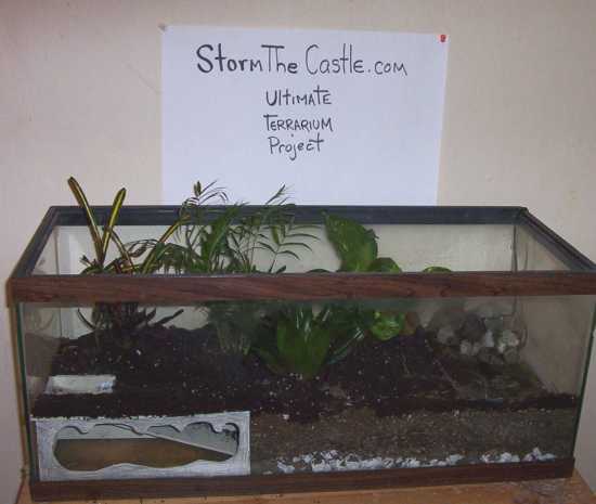 The ultimate terrarium