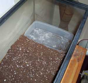 placing the waterfall in the terrarium