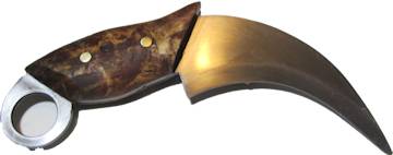 a Karambit 