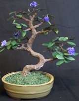 Wire bonsai tree
