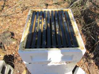 A shallow bee box