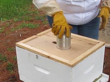 Put the can over a hole