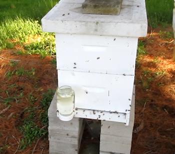 The beehive is ready