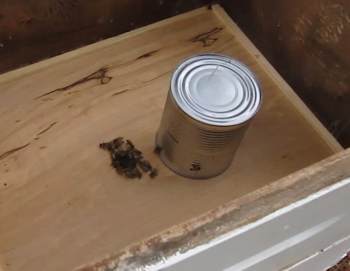 The bees are moving 