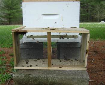 The package is emptied of bees