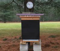 A Winterized beehive