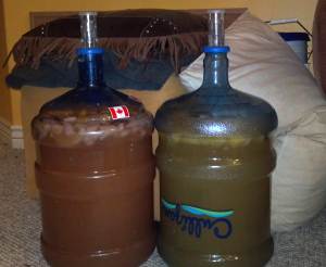 Two batches of mead