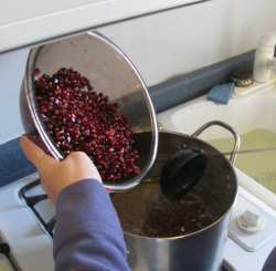 mixing the pomegranate