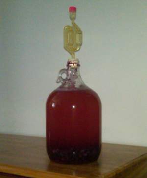 Mead in a 1 gallon carboy