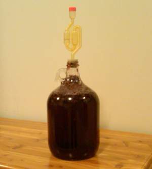 Mead in a 1 gallon carboy