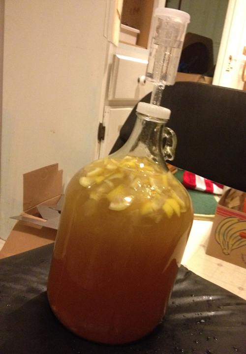 Fermenting Finnish mead (Sima)