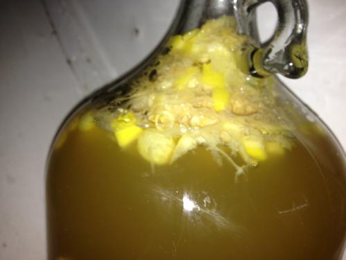 bubbling mead