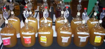 twelve gallons of mead