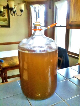 Liquid sunshine vanilla mead