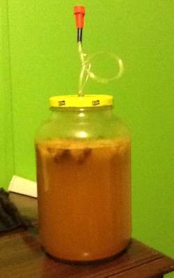 Fermenting mead with spices