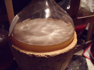 fermenting mead