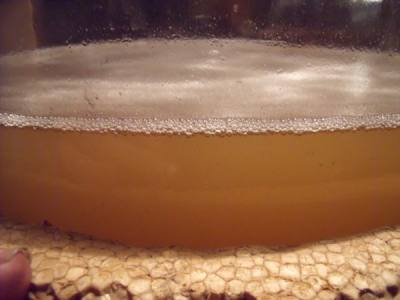 bubbles in mead