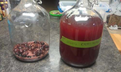 Cherry Melomel after Racking