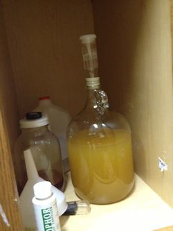 Fermenting mead