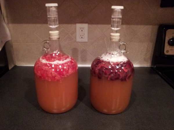 The fermenting mead