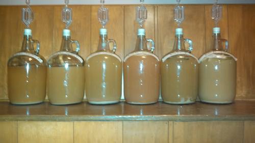 Six batches of mead