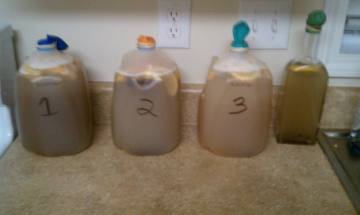 Four batches of mead