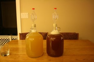 Two fermenting mead jugs