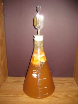 Mead in an Erlenmeyier Flask
