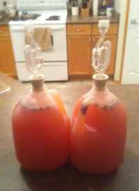 Nanking Cherry Mead