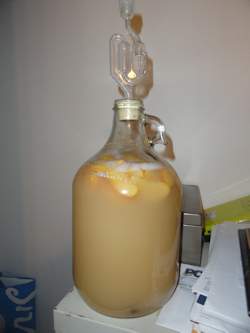 Peach mead