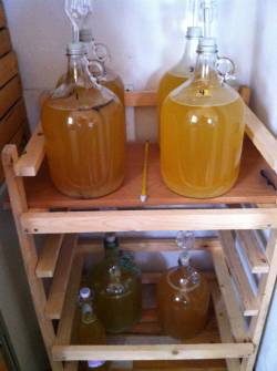 Mead being fermented