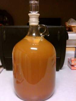 Pumpkin mead