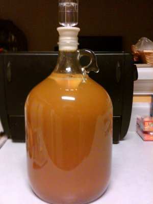 Pumpkin Mead