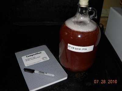 Logbook for the mead ferment