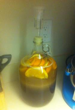1 gallon of orange mead