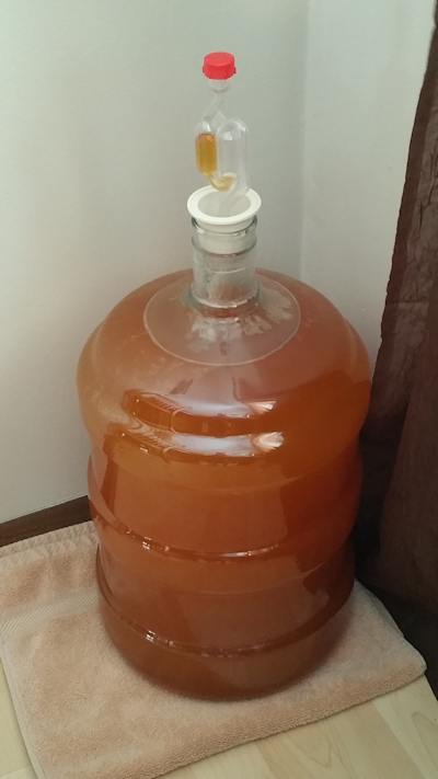 A 5 gallon batch of mead