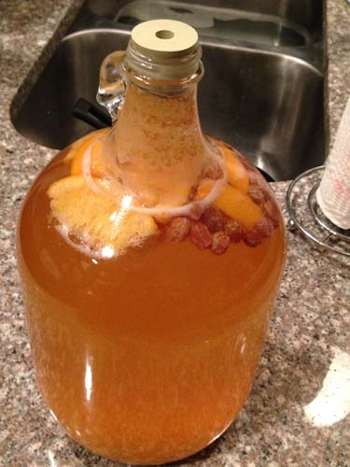 1 gallon of mead