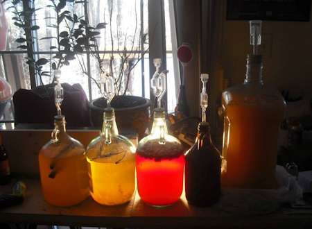 Beautiful backlit mead