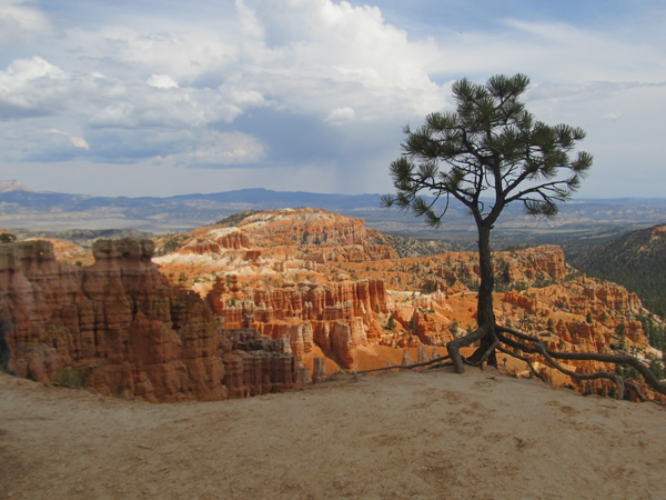 Bryce Canyon