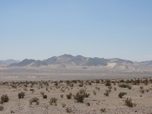 Desert Landscape