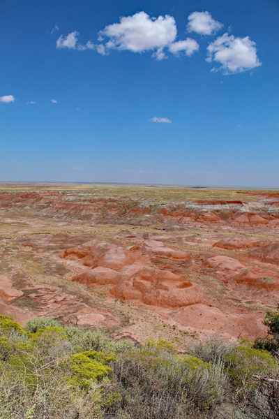 The Painted Desert