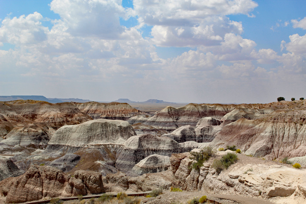 The Painted desert