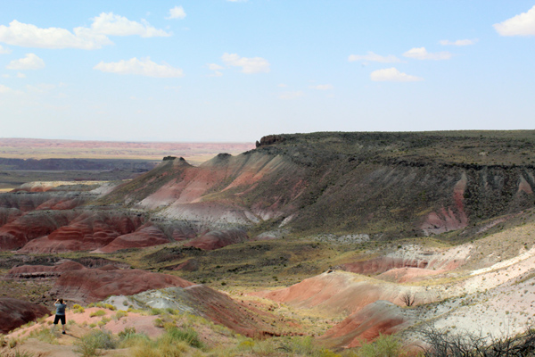 The painted Desert