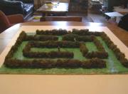 Miniature Hedge Maze