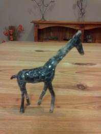 Miniature Giraffe