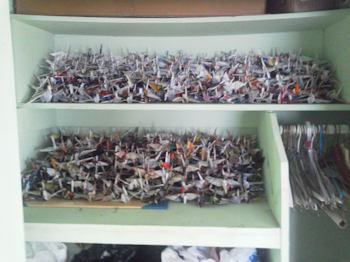 1000 Cranes on shelves