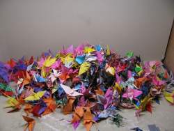 600 cranes