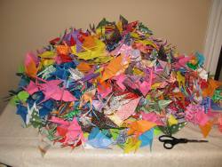 825 cranes