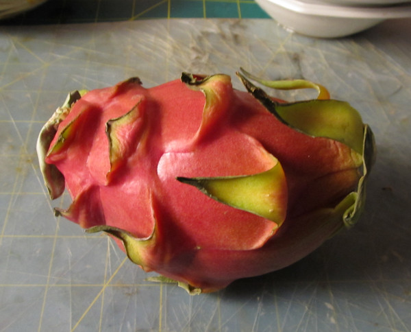 A dragon fruit